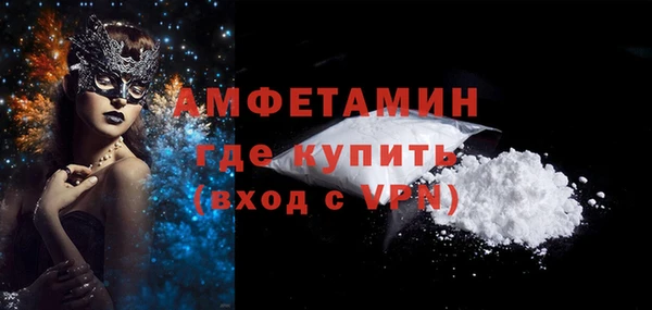 молекула духа Богданович
