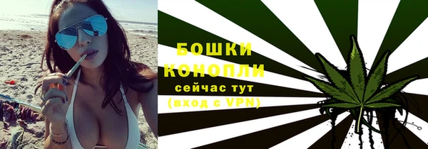 молекула духа Богданович