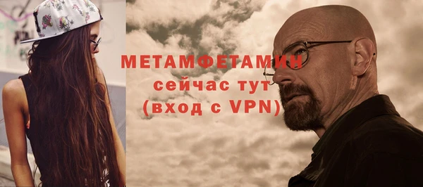 молекула духа Богданович