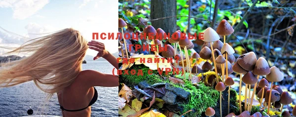 каннабис Бородино