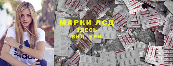 молекула духа Богданович