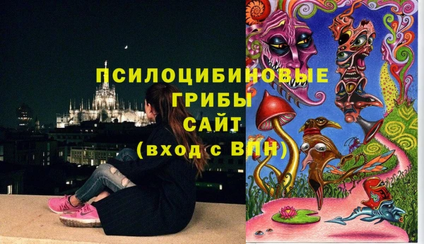 гашишное масло Богородицк