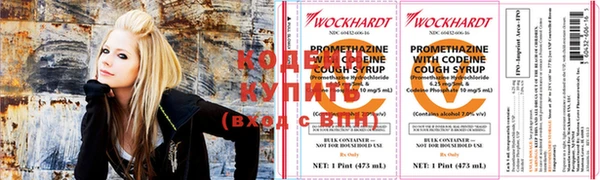 молекула духа Богданович