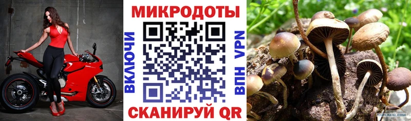 Псилоцибиновые грибы GOLDEN TEACHER  Михайлов 
